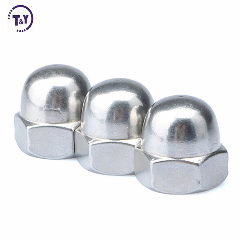 DIN1587 SS304 SS316 Decorative Alloy Stainless Steel HDG Coating Metric High Crown Hex Dome Cap Nut