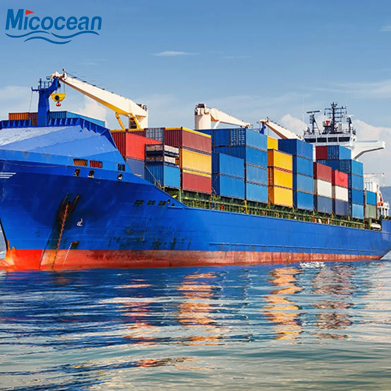 Fast Shipping Logistics Transportation Company Port to Port to San Antonio/Arica/Iquique