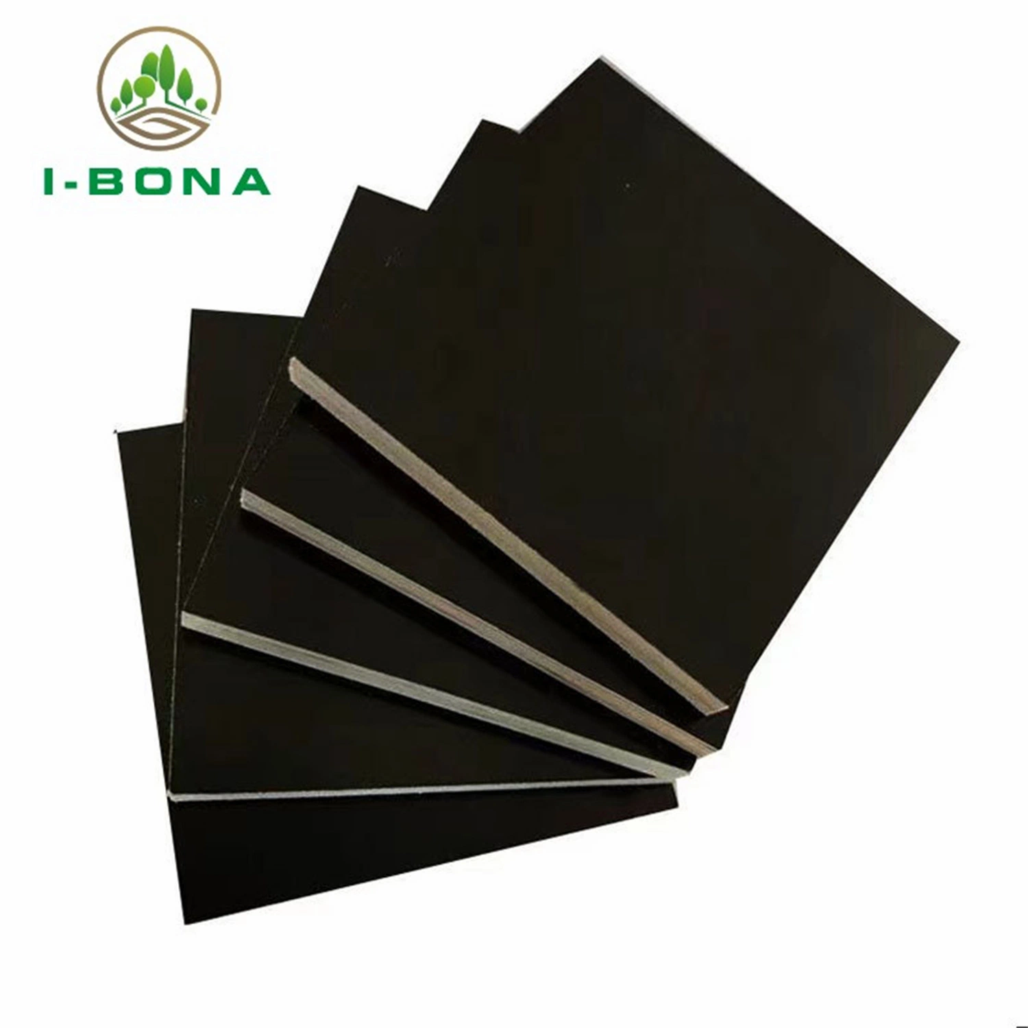 Birch Black Film Plywood Film Faced Plywood Shuttering Plywood