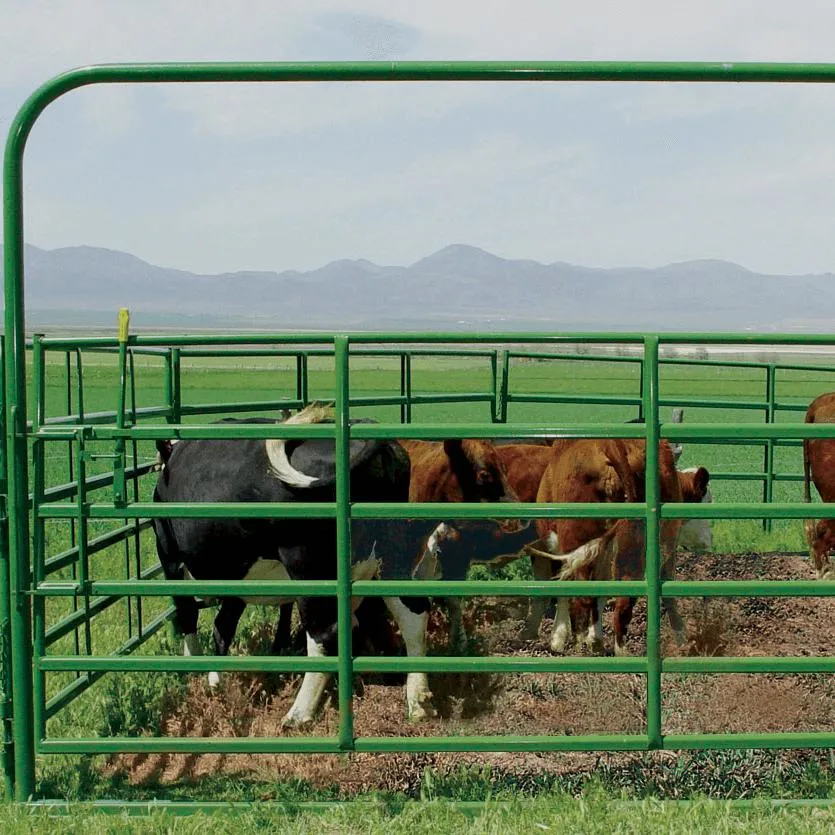 Hot DIP Galvanized Ganadería ovejas Paneles Ganadería Fence Granja, Ganadería Round Yard