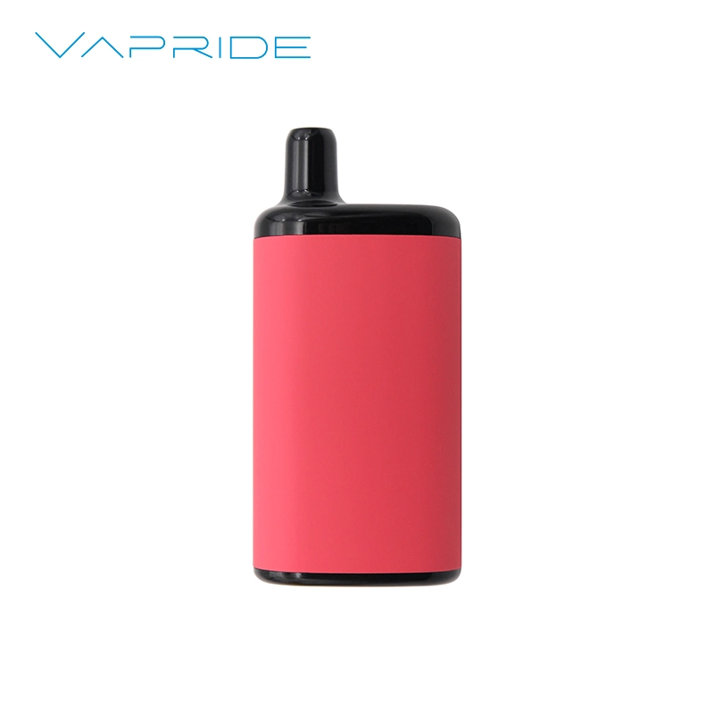 2023 Market New Trend 2000/4000/5000puffs Original Mesh Coil Disposable/Chargeable Vape Ecig