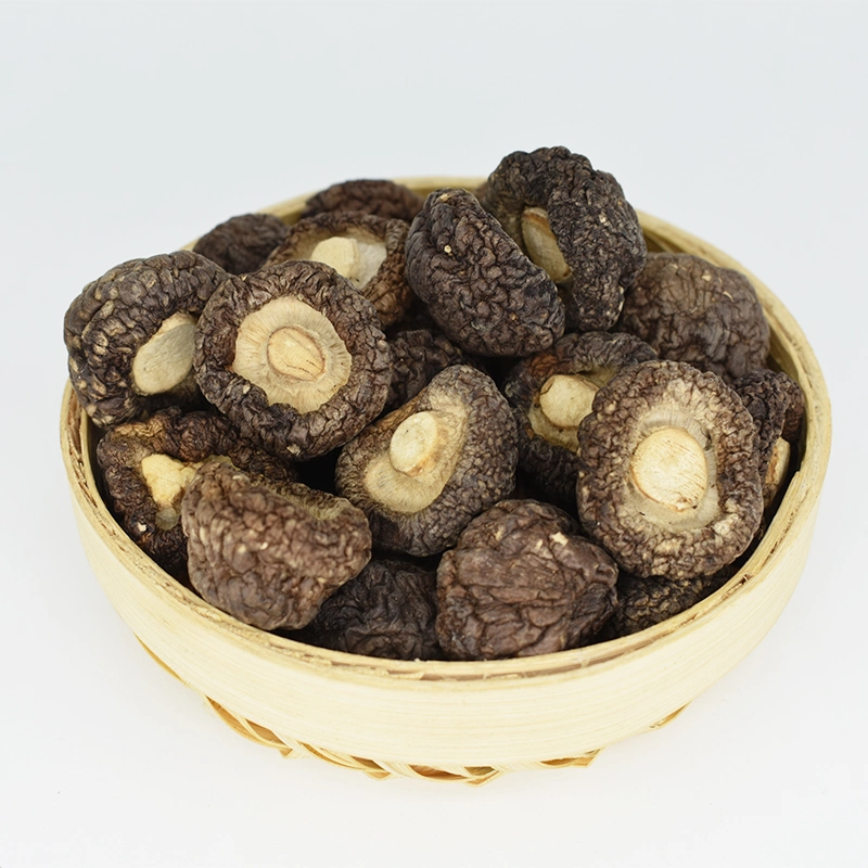 Günstige Preise Shiitake Pilze mit glatter Oberfläche