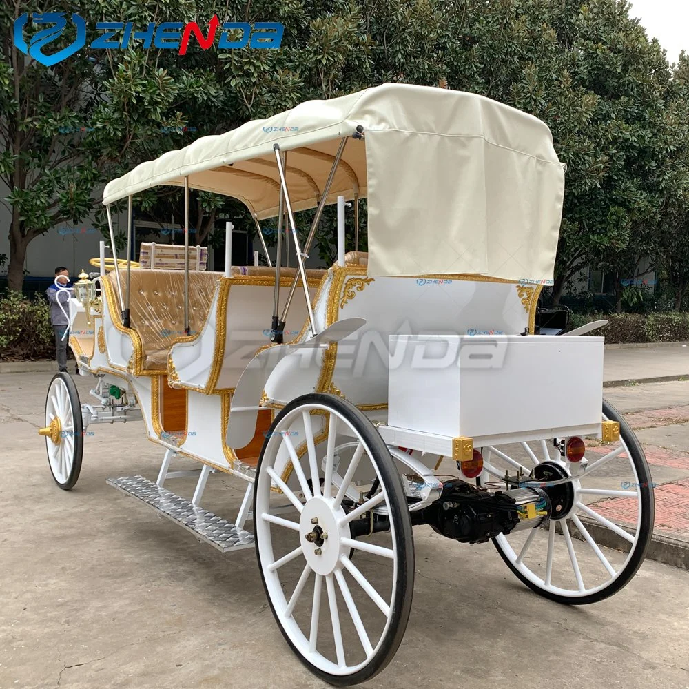 Sightseeing Tourist with Canopy High quality/High cost performance  Horse Carriage