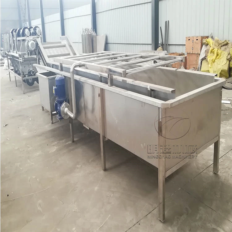 Fully Automatic Industrial Water High Pressure Saving Vegetable and Pepper Cleaning Machine