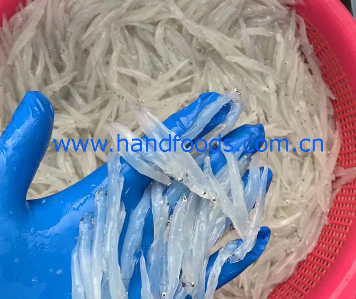 Most Healthy Seafood of Frozen Silver Fish