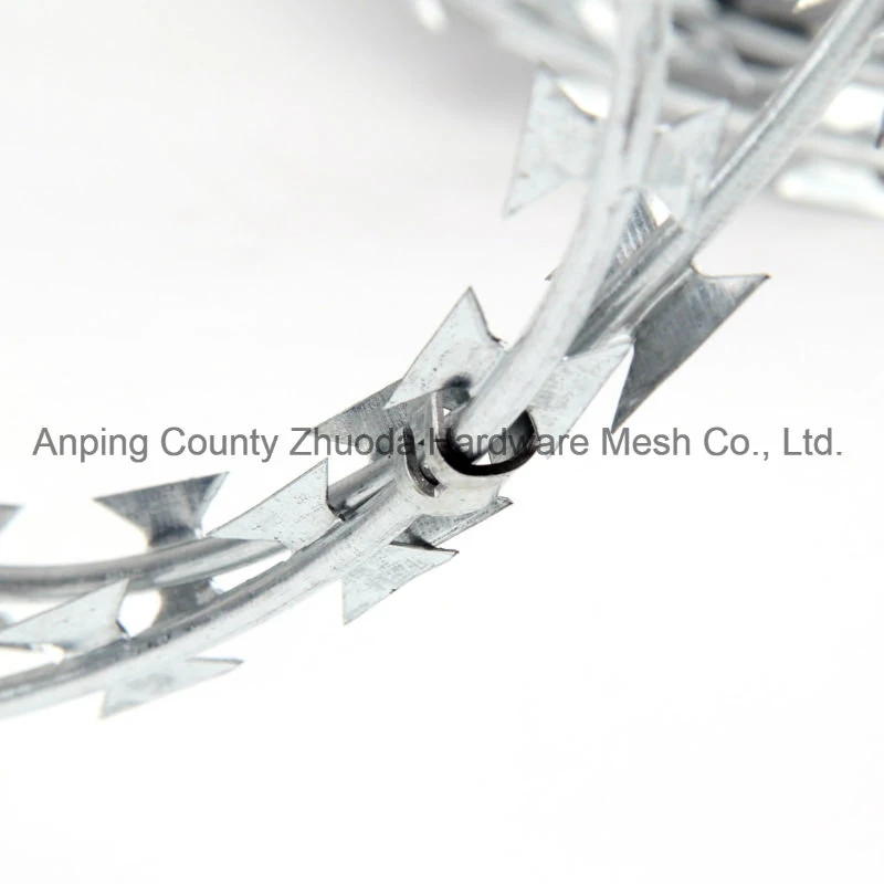 Amazon Ebay Wholesale/Supplier Galvanized Bto22 Razor Barbed Wire Razor Wire for Fencing