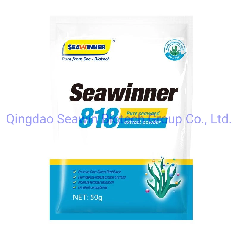 Seawinner 818 Extracto puro de algas marinas de doble algas marinas