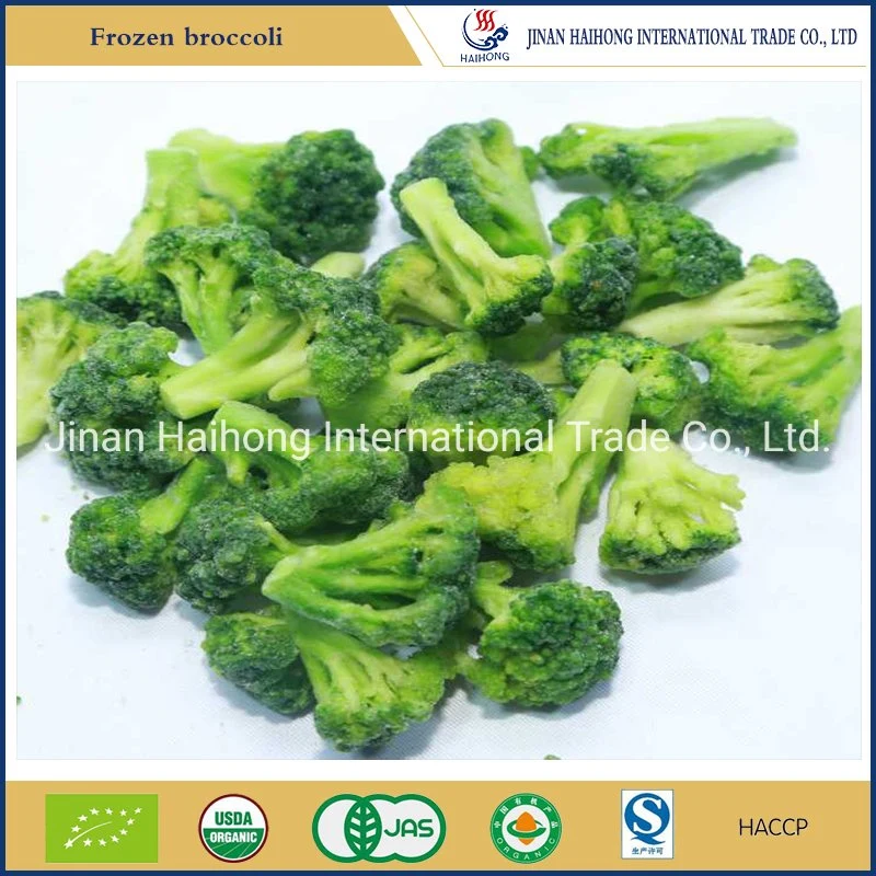 IQF Frozen Broccoli From China Supplier