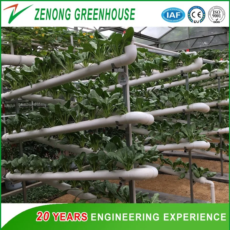 Film Greenhouse Used as Flower House/Hydroponics Cultivation House/Aquaponics House