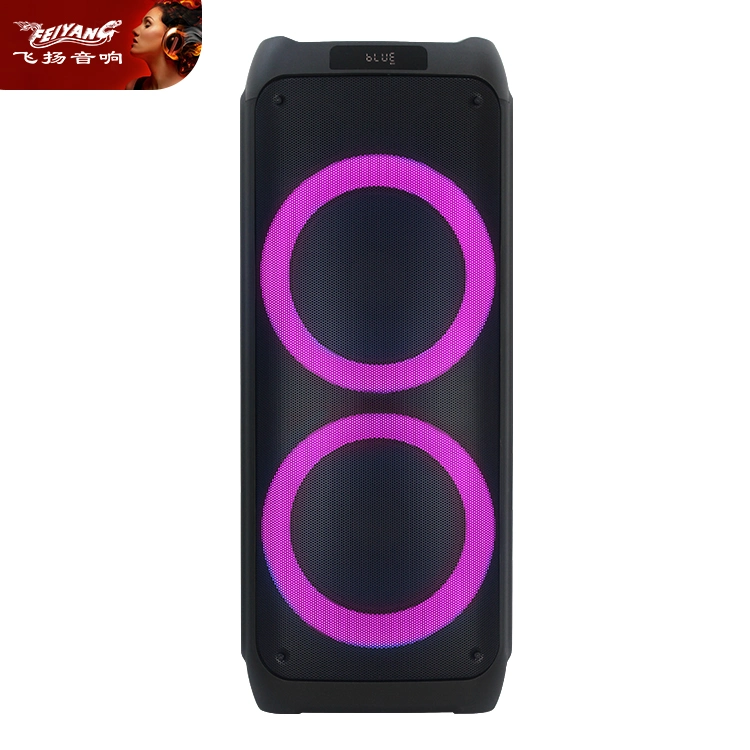 Feiyang Disco Outdoor Tws Dual 12 Inch Best Bluetooth Wireless Speaker