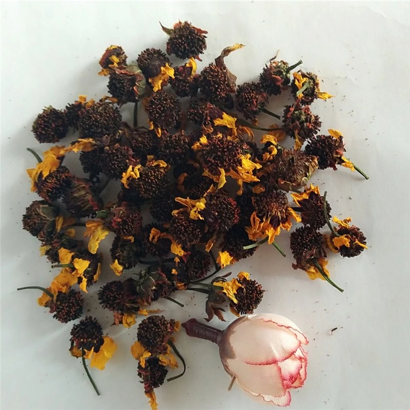 Xue Ju Flor de hierbas chinas nieve crisantemo Flor Coreopsis para té