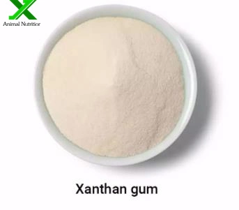 Zhong Xuan Deosen Bulk High E415 Xanthan Gum Powder Food Grade