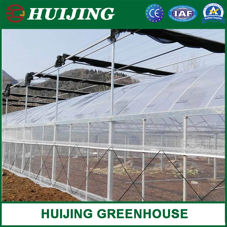 Agricultural Planting Poly Film Multi-Span Greenhouse for Sale