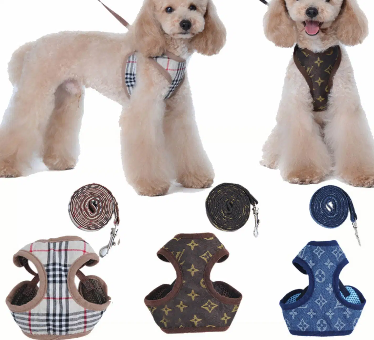 Design Printing Lead Knitting Dog Harness Collars with Leash