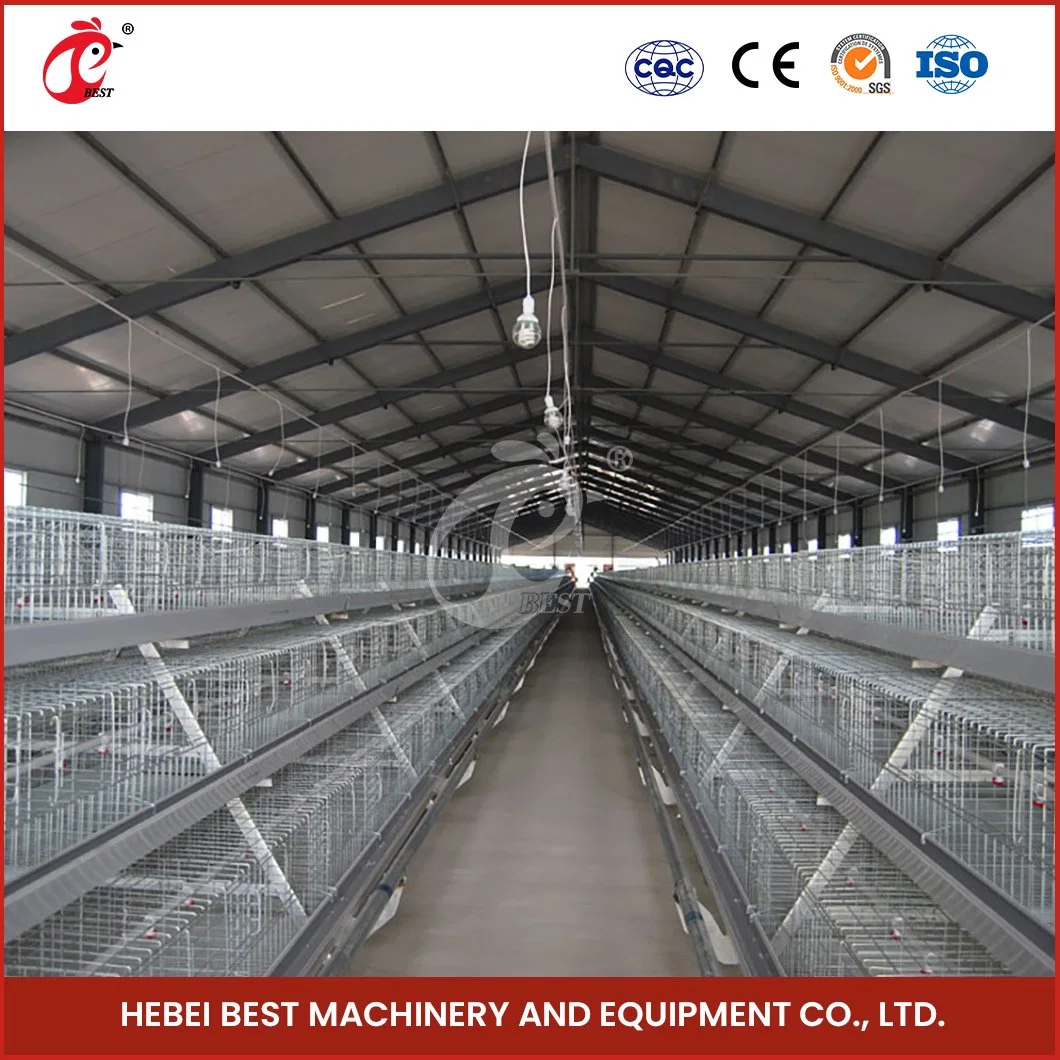 Bestchickencoage China Broiler Cage Equipment Suppliers a Frame Automatic Broiler Gaiolas de Alto-qualidade crescimento antibacteriano gaiolas de frango para venda
