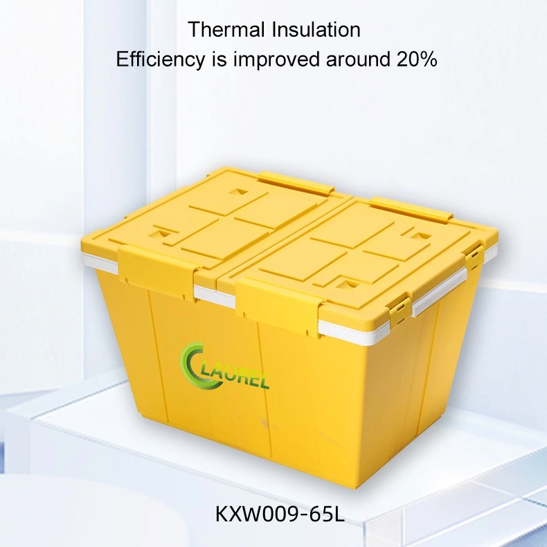 Plastic Cooler Box Customize 65L Antibacterial Fresh-Keeping Thermal Insulation Cooler Box