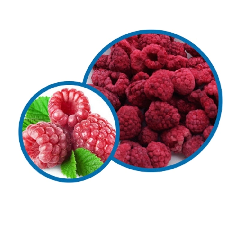 Freeze Dried Raspberries, Fd Raspberries Whole From China