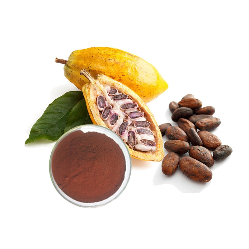 Pure Natural Cocoa Extract 10% Theobromine Plant Extract Herbal Extract Food Additive