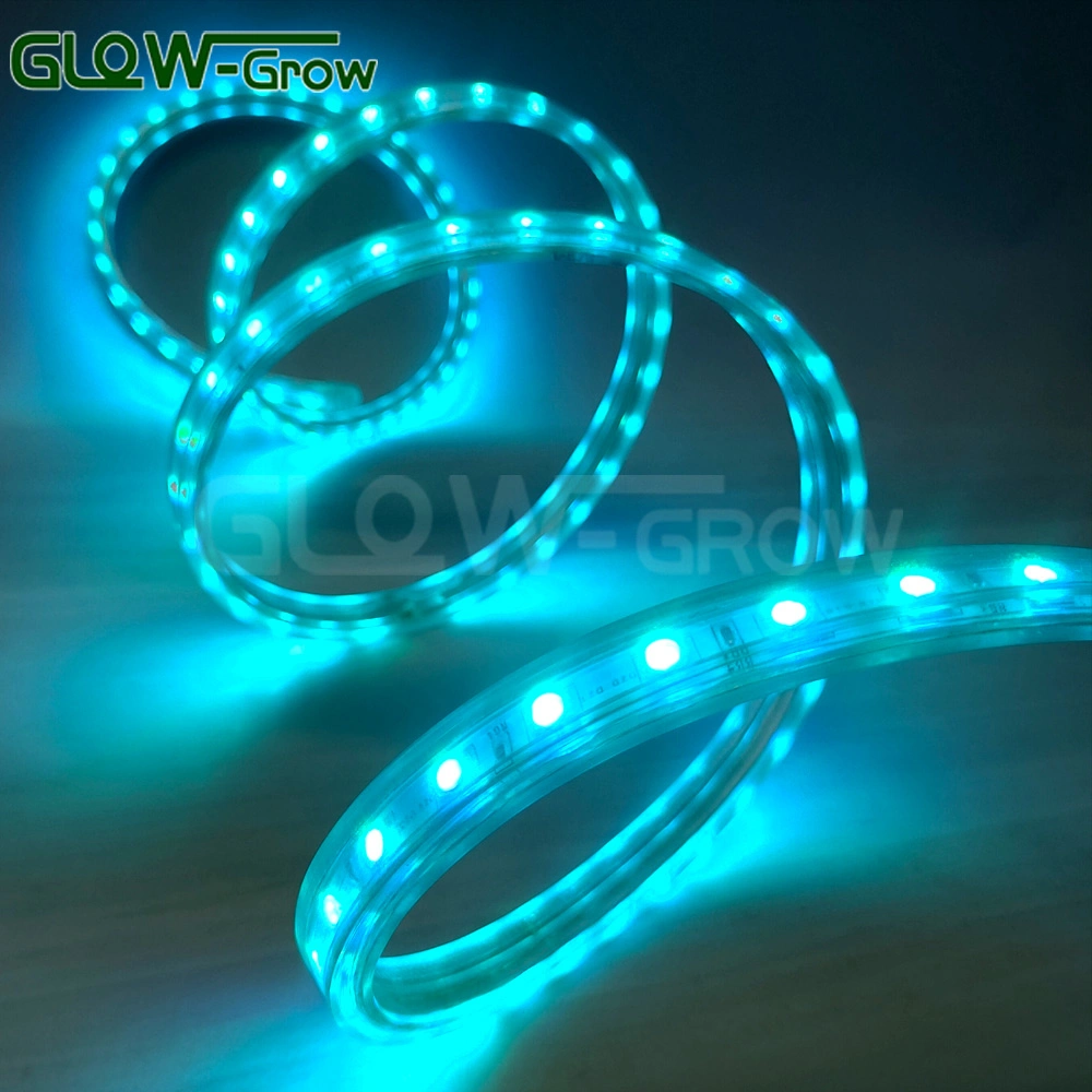 CE RoHS Factory Price High Voltage 110V 220V 230V SMD5050 IP65 Waterproof LED Strip Light for Party Christmas Halloween Festival Decoration