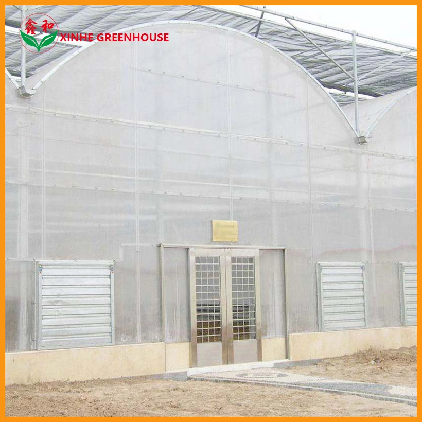 Manufacture Hot DIP Galvanized Steel Hydroponics Vegetables Warm House Greenhouse with Shading System