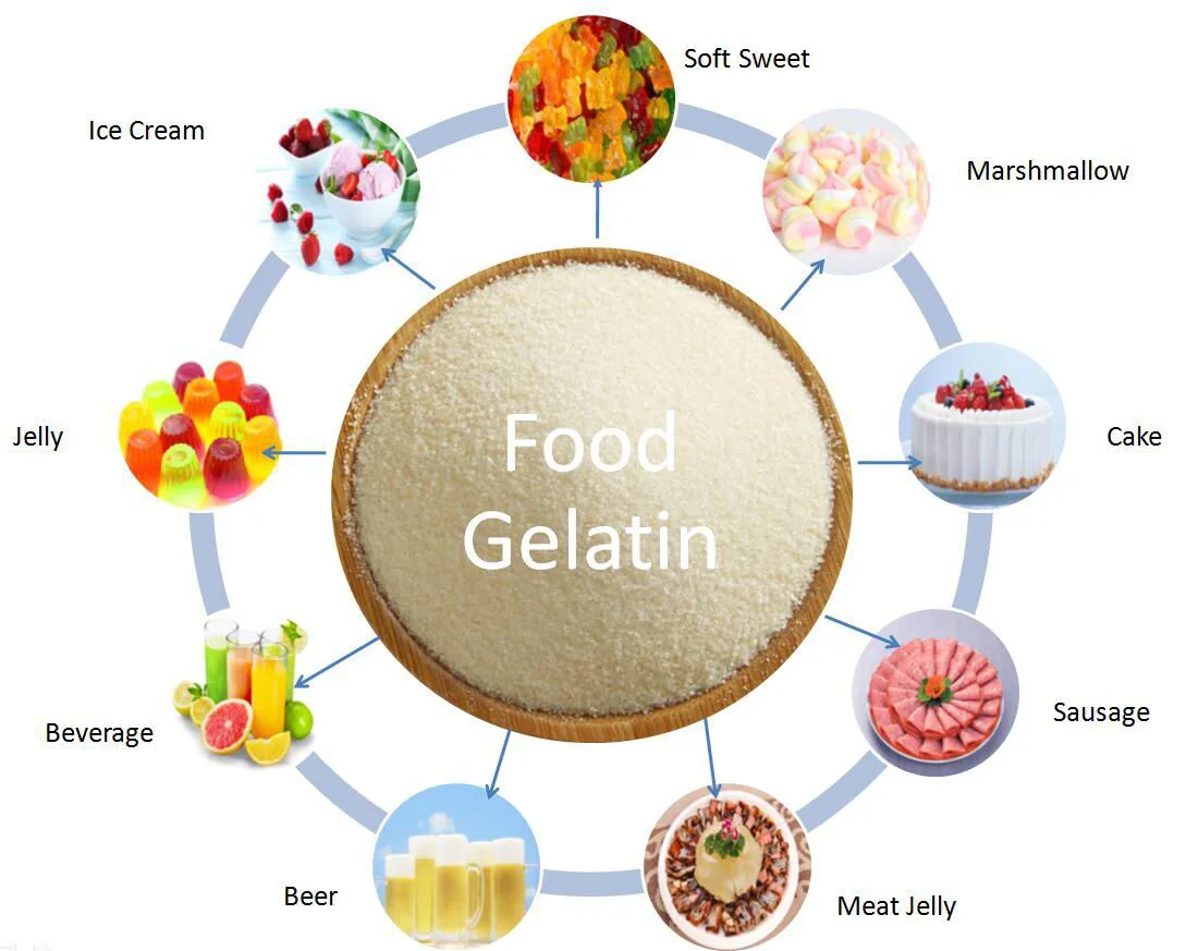 Best Sale Food Grade Gelatin for Yugurt