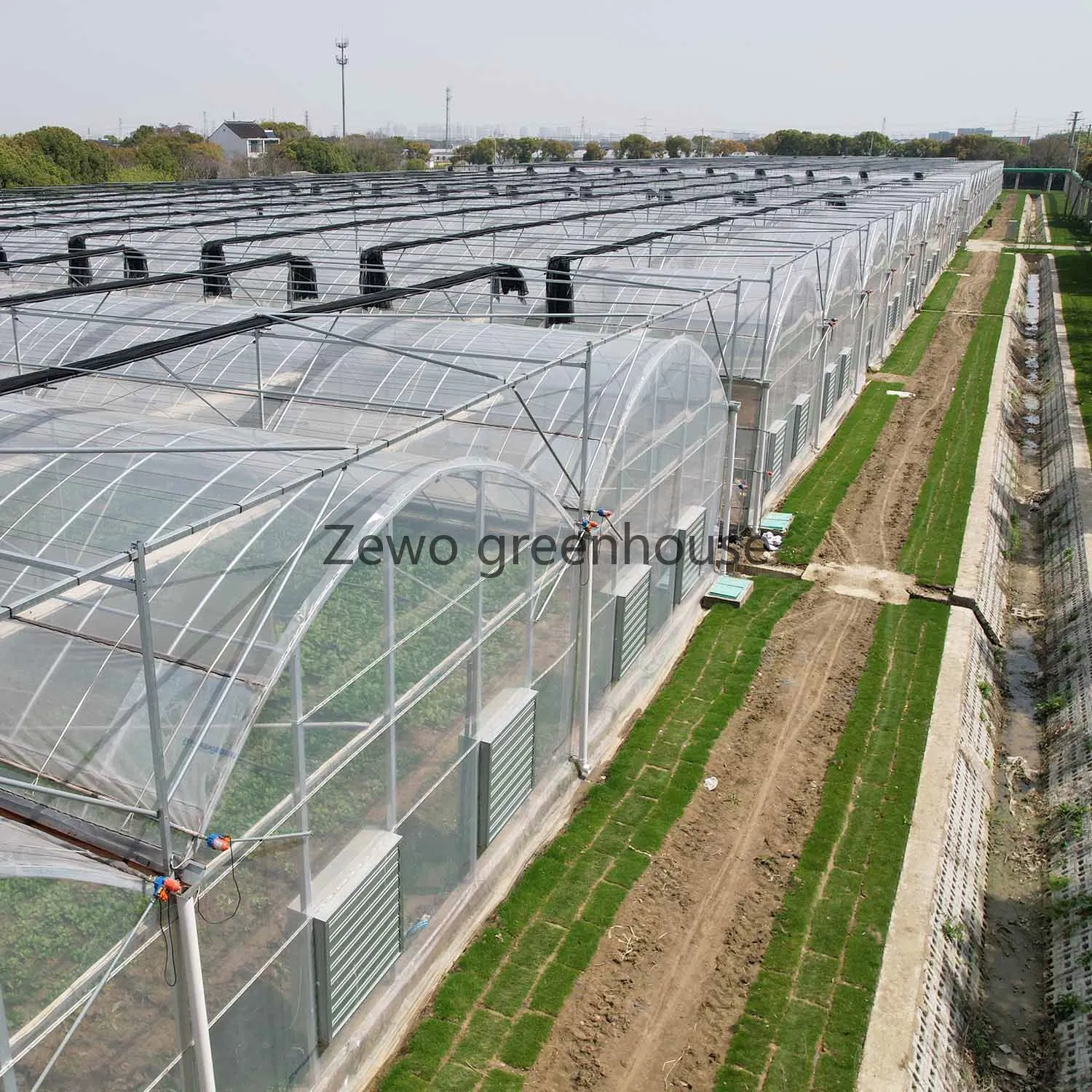 Customized Greenhouses Project Multi-Span Plastic Film Green House for Vegetable