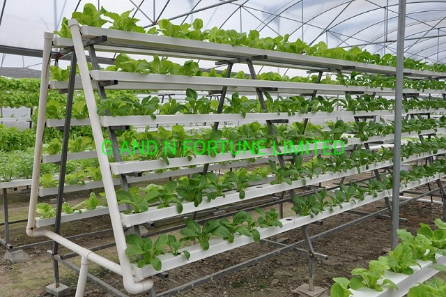 Sistemas hidropónicos de Cultivo vertical agrícolas para hortalizas de invernadero Nft Lechuga creciente