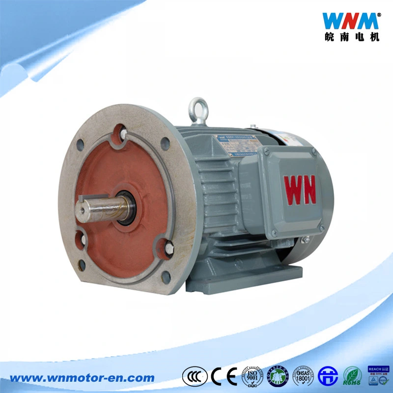 Variable Speed Motor Permanent Magnet Electric Motors