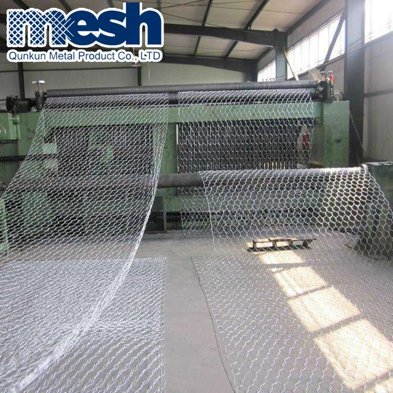 Hexagonal de acero galvanizado recubierto de PVC Gabion Box fabricante de China