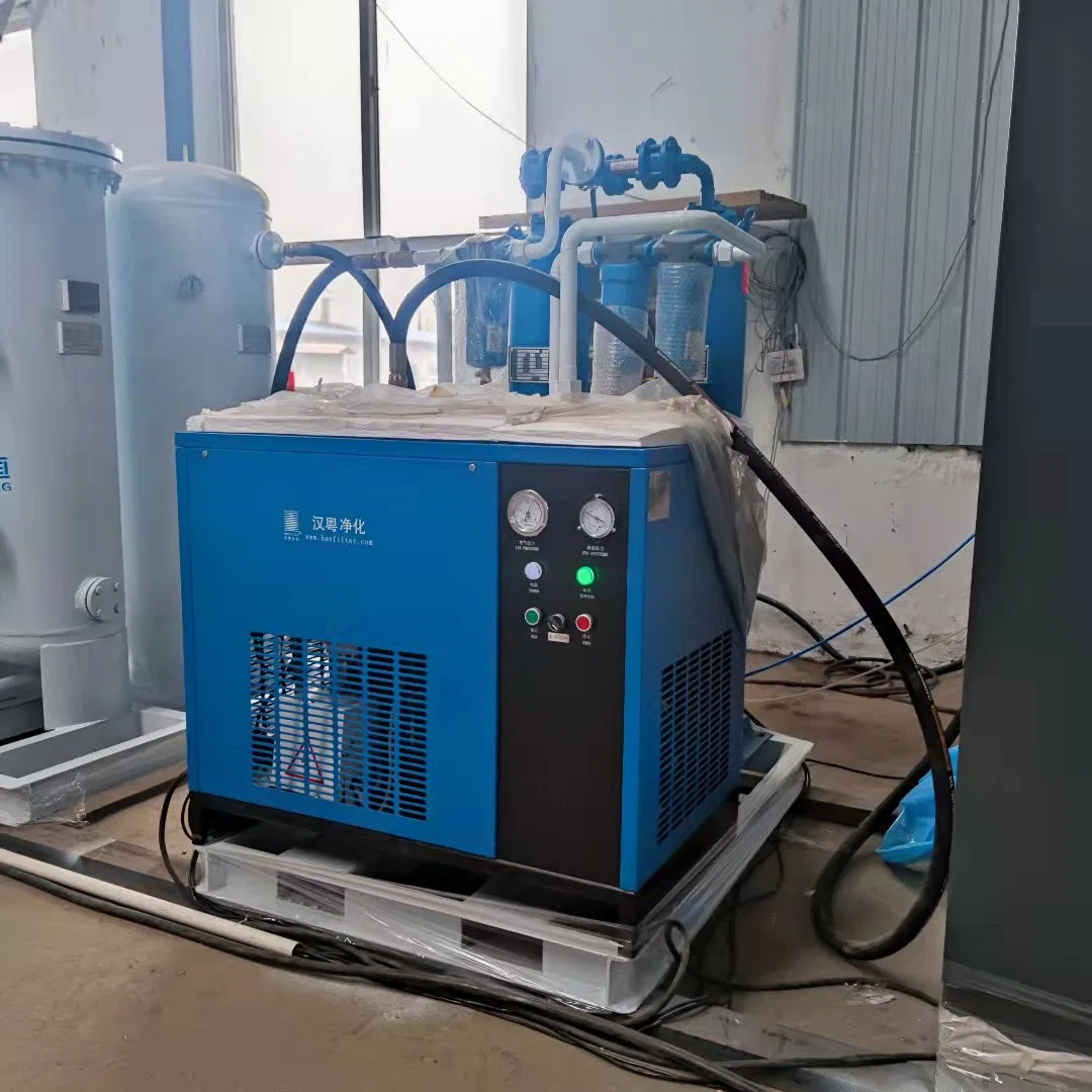 Ldh Gas 100m3 99.99% Compact Skid-Mounted High Purity Electronic and Food Nitrogen Generator