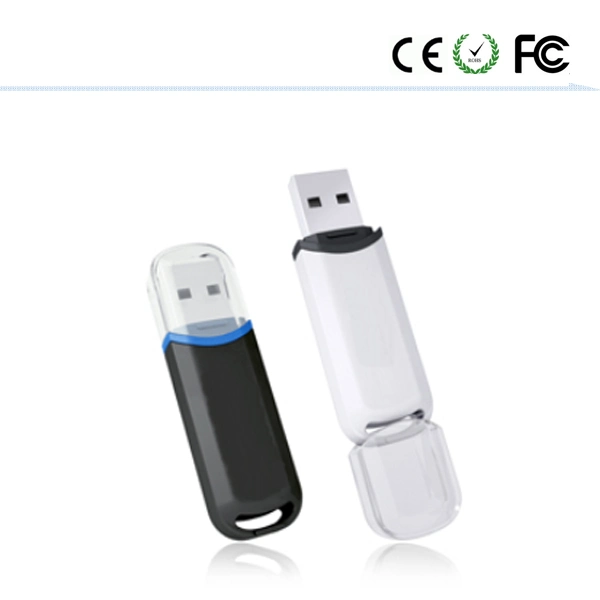 Lecteur Flash USB (HWG) à prix promotionnel et design populaire