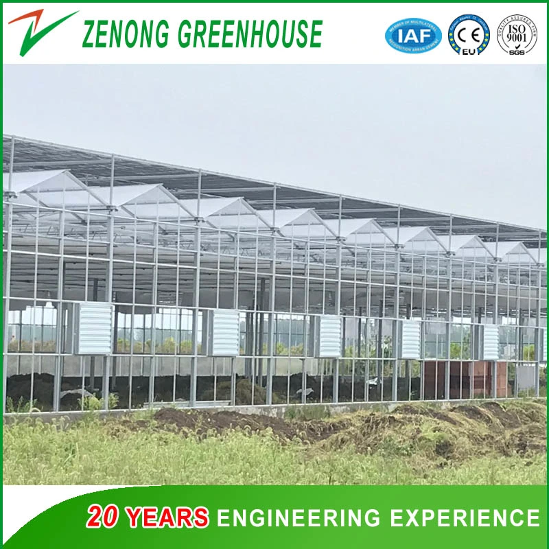 Intelligent Automatic Greenhouse Glass Greenhouse for Seedling Nursery/Eco Restaurant/Vegetable Fair