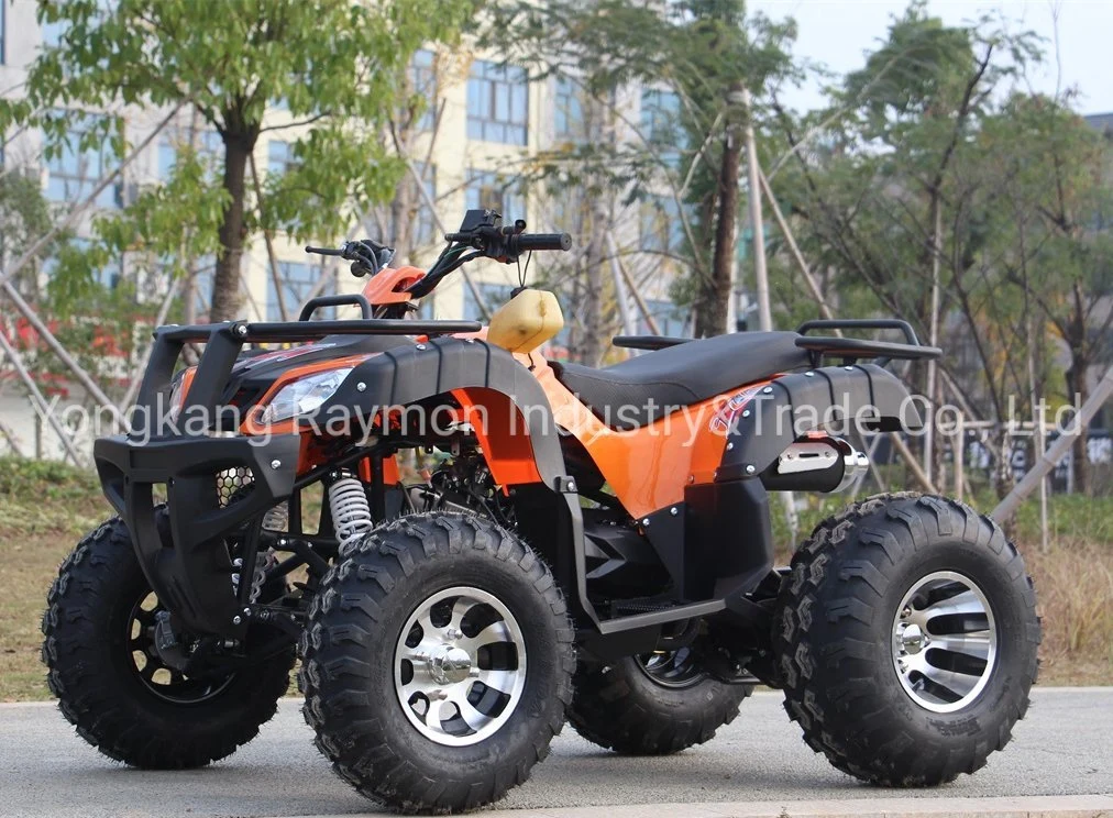 Kinder ATV Quad 125cc Kinder ATV Quad Bike Quad Electric Quad Electric ATV ATV Sport ATV ATV Quad Electric Scooter Buggy Elektro Jeep 4 Wheeler ATV 110cc ATV