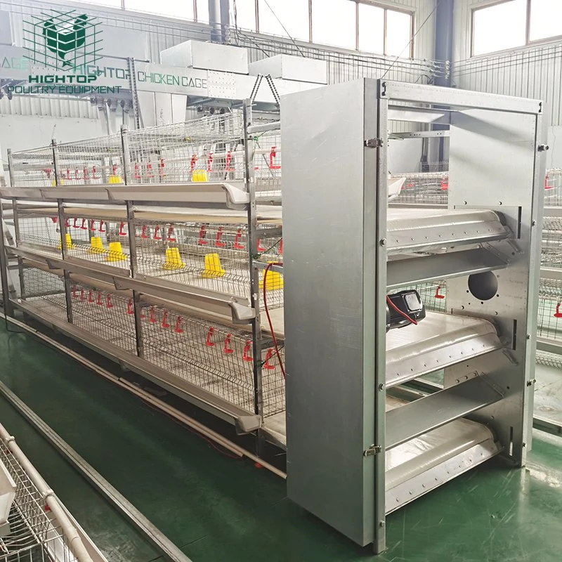 Poultry Farming Equipment Automatic H Type Battery System Broiler Chicken Cages for Sale