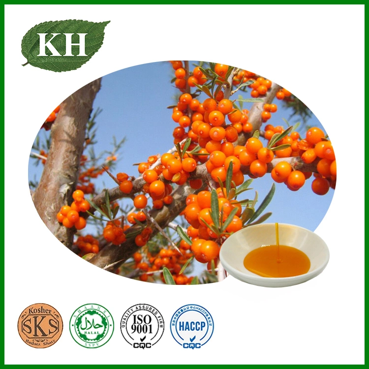 100% Natural and High Quality Pure Sea Buckthorn Seed Oil