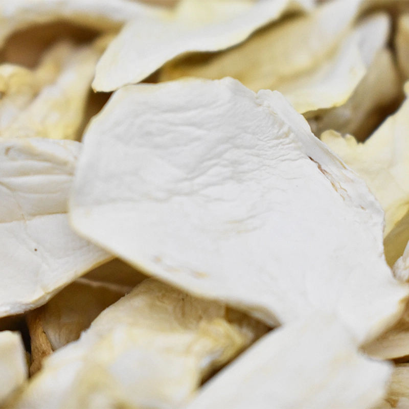 High Nutritive Value Sliced Dried King Trumpet Oyster Mushroom