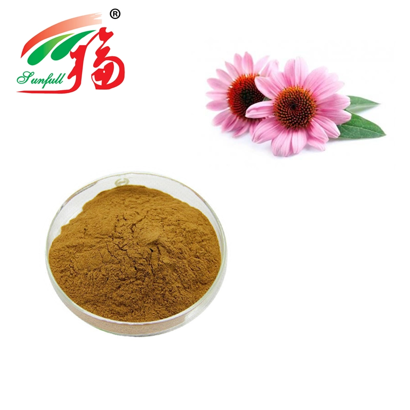 Echinacea Purpurea Extract 1.3~1.5% Chicory Acid