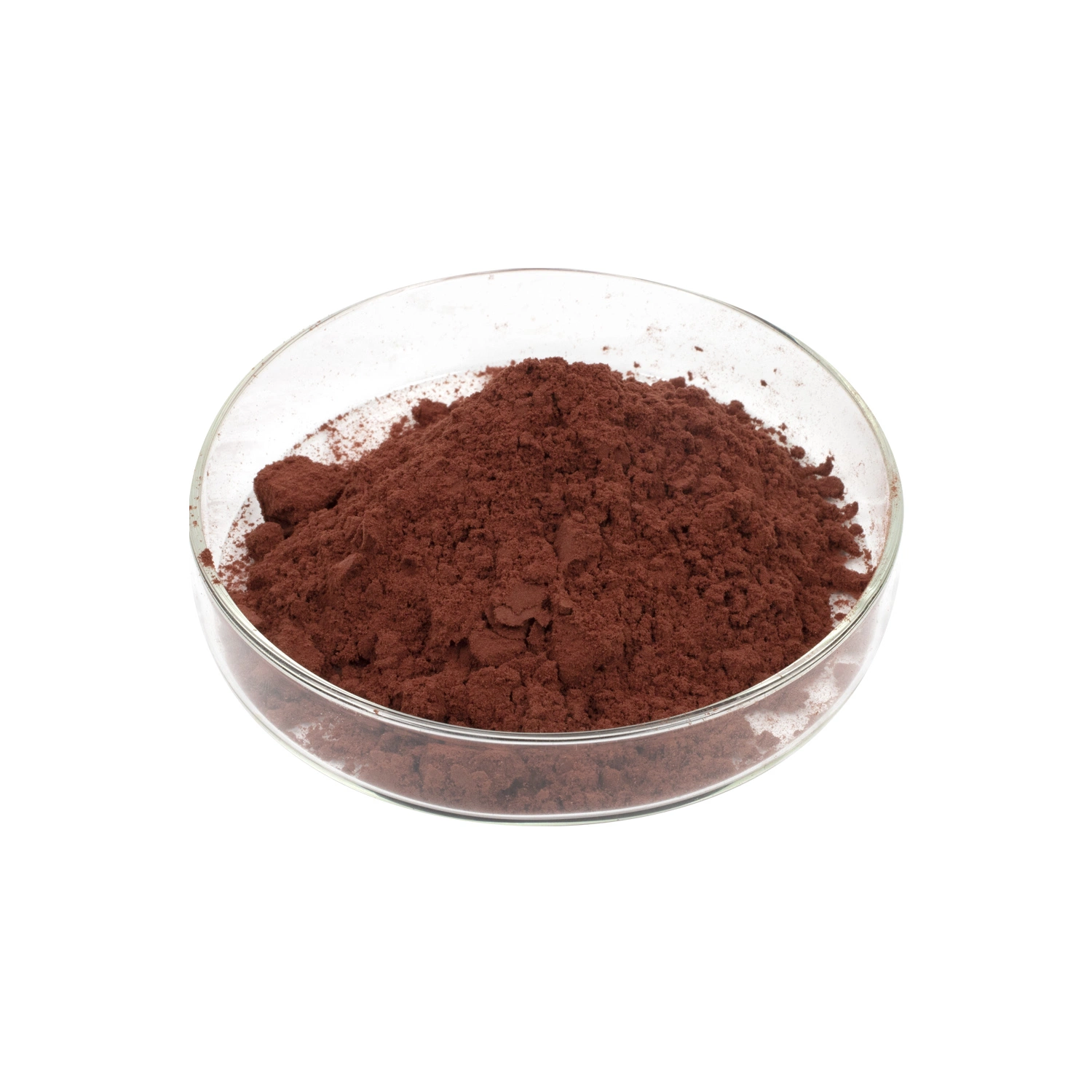 Natural Herb Extract Pine Bark Extract Powder 95% Proanthocyanidins for Foods and Supplement