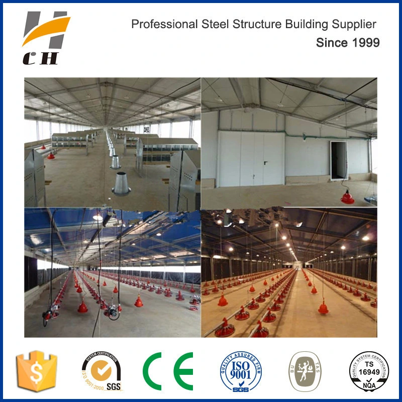 Factory Suppilers Prefab Steel Sheds Poultry Farm Structures