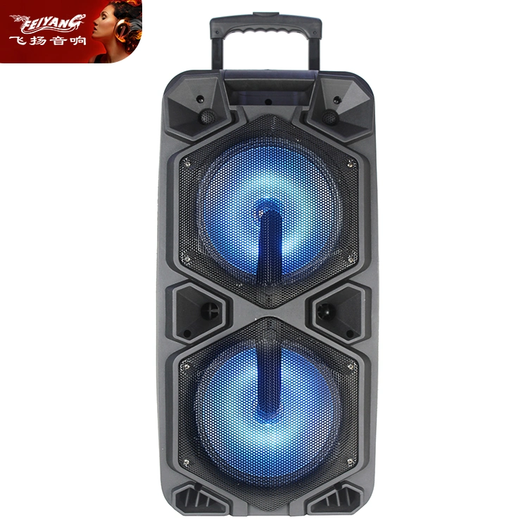 Double 12 Inch Luxury Outdoor Stage Powerful PA DJ High Class Wireless Audio Loud Speaker