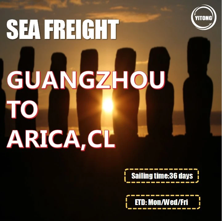 Serviço de Frete Forwarder Ocean Freight de Tianjin para Arica Chile