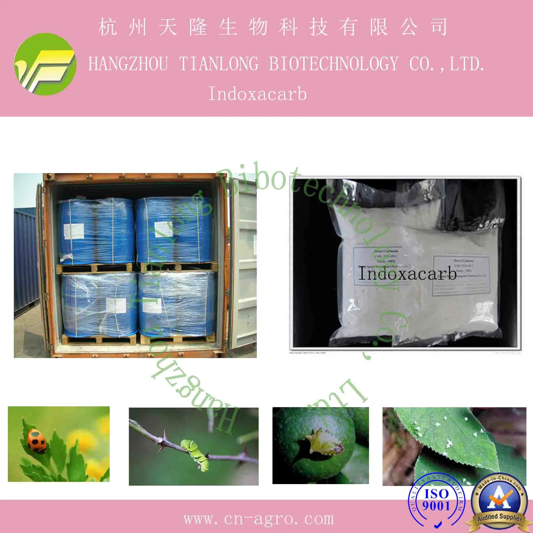 Insecticide Indoxacarb 95%TC, 97%TC CAS 173584-44-6