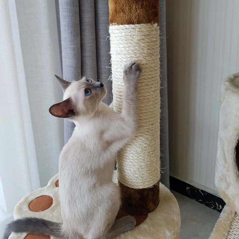 Árbol rascador de lujo en forma de pata de gato, juguete para gatos.