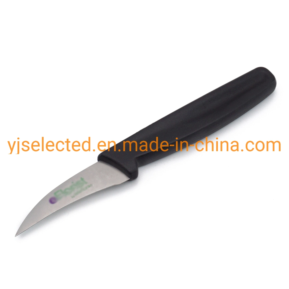 Schnabel-Schnipsel-Messer 2 1/2 Zoll-Vogels mit schwarzem Polypropylen-Griff