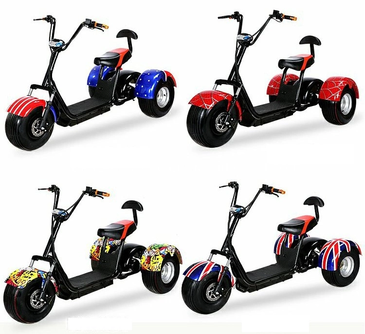 Strong Power 1000W 3 Wheels Long Range Cheap Price Electric Trike Scooter Adult Electric Tricycle Citycoco for Elder
