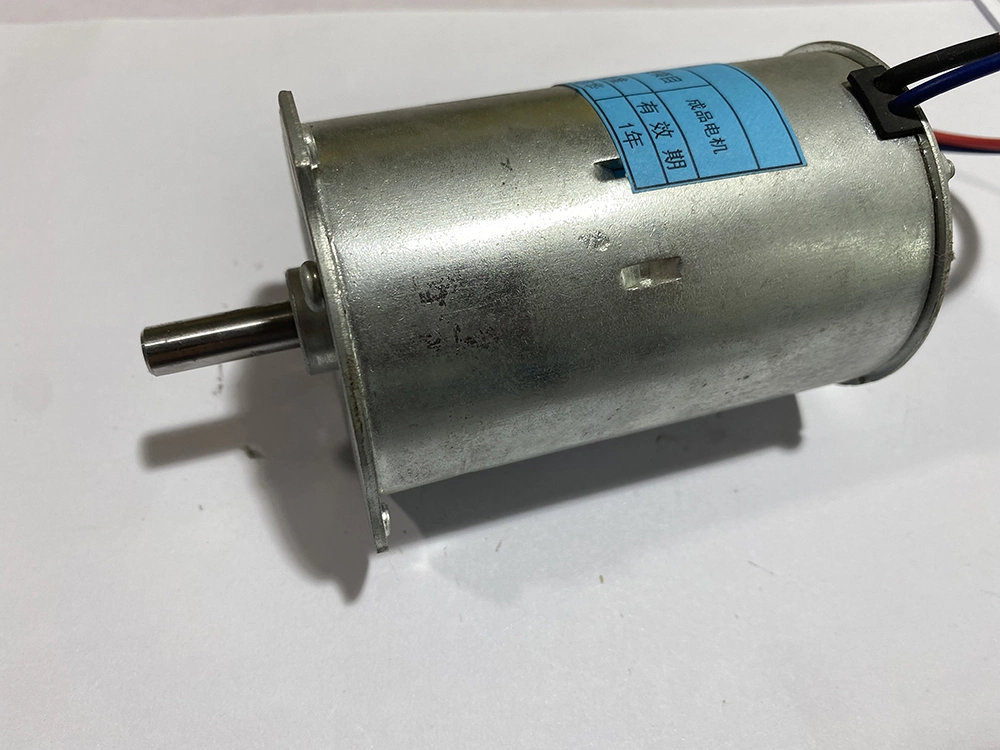 60W 220V Adjustable Speed Motor with Ear Perendev Magnetic Motor Zyt DC Motor