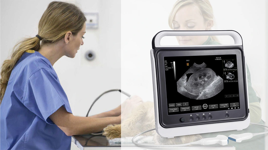 15 Inches Touch Screen Scan Pad Animal Hospital Pet Clinic Vet Ultrasound Scanner for Bull Dog Pregnancy Checking