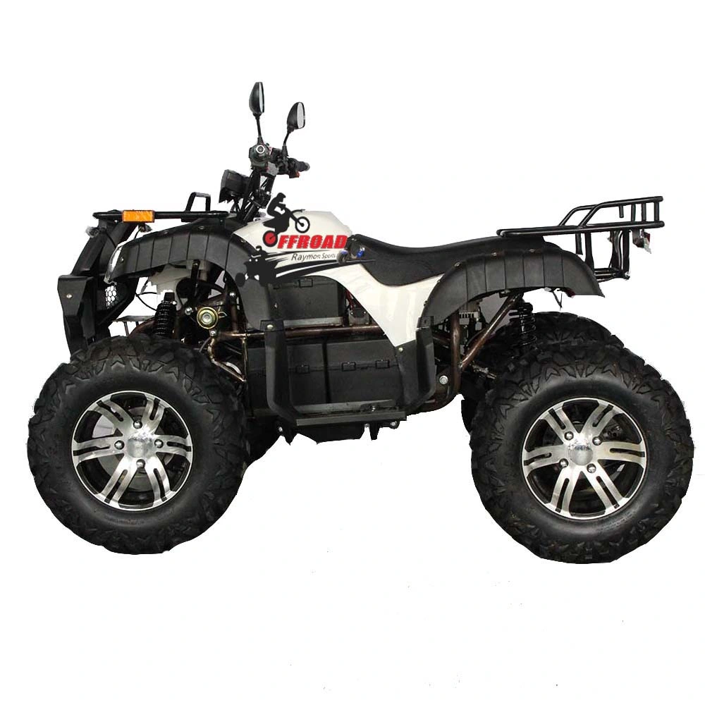 CE Electric ATV 60V 2500W Economical Dune Buggy for Adult