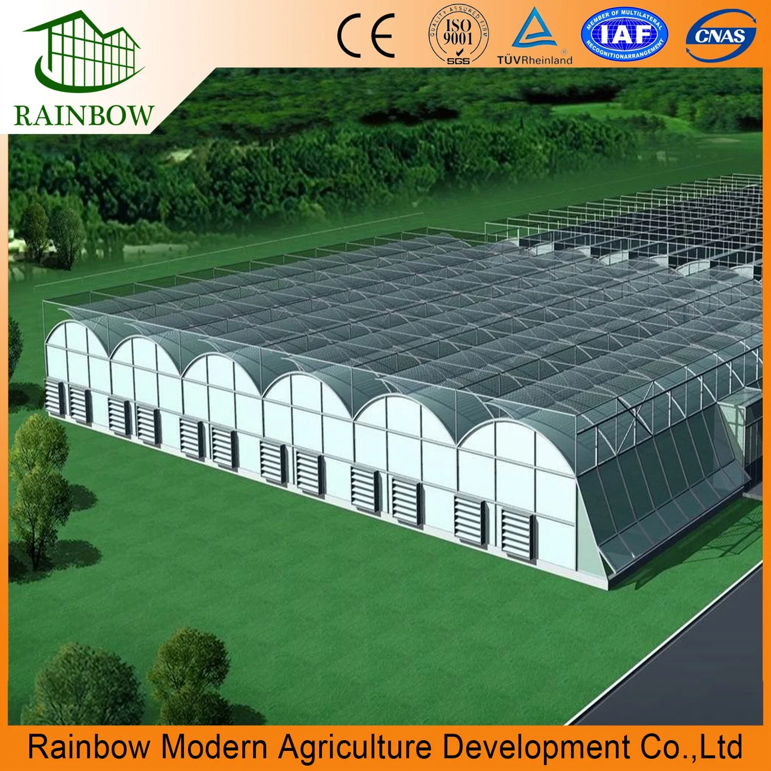 Smart Hydroponic Growing Systems Greenhouses Muti-Span Agriculture Commeicial Film Greenhouse Equipped with Cooling/Irrigation/Climate Control Systems for Crops