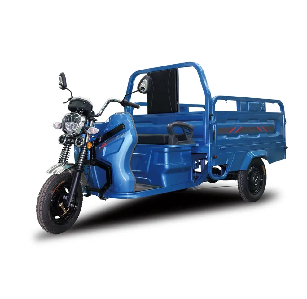 Electric Tricycle Best Safety and Popular 48/60V 1000W Three Wheeled Tricycle Cargo